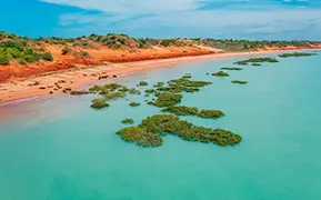 Broome