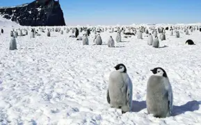 Immagine di Isola di re Giorgio