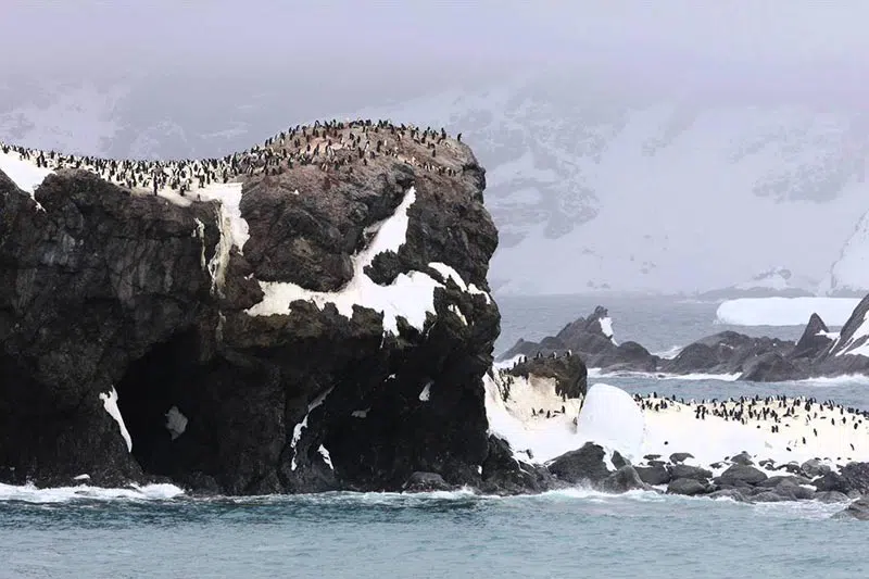 Elephant Island