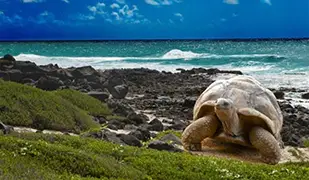 Immagine di Galapagos