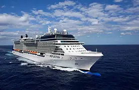 Celebrity Reflection