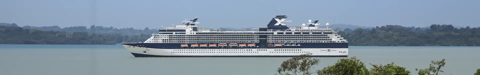 Celebrity Infinity