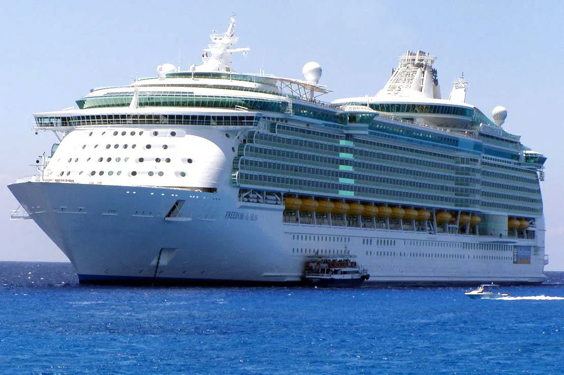 Immagine di Freedom  Of The Seas