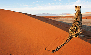 escursioni Namibia