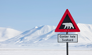 Immagine di Svalbard